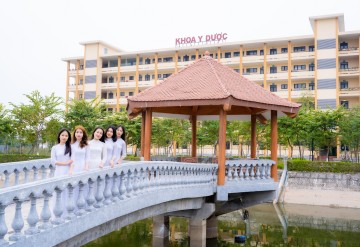 hinhanh